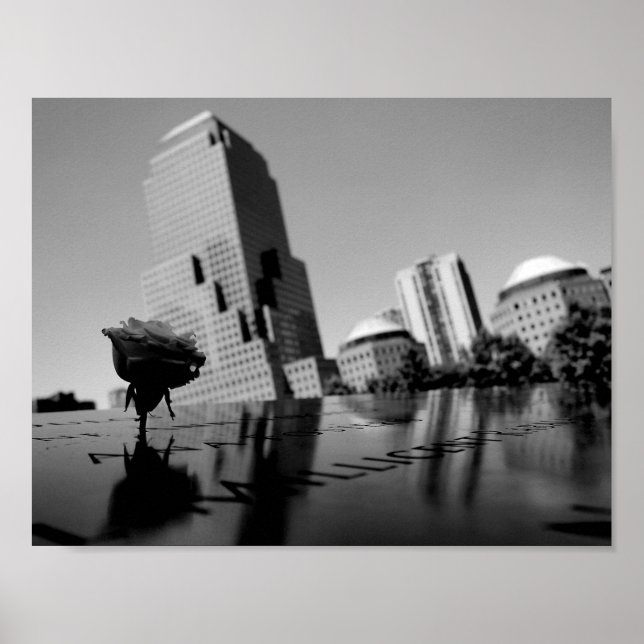 Poster Rose blanche du souvenir (Devant)