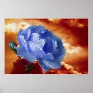 Poster Rose bleu