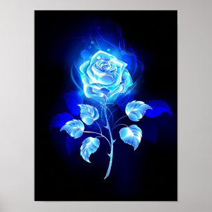 Poster Rose bleu brûlant