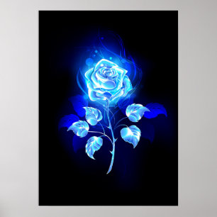 Poster Rose bleu brûlant