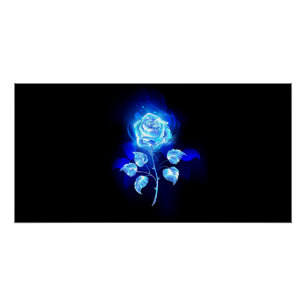 Poster Rose bleu brûlant