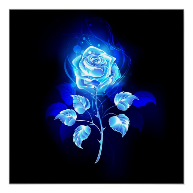 Poster Rose bleu brûlant (Devant)