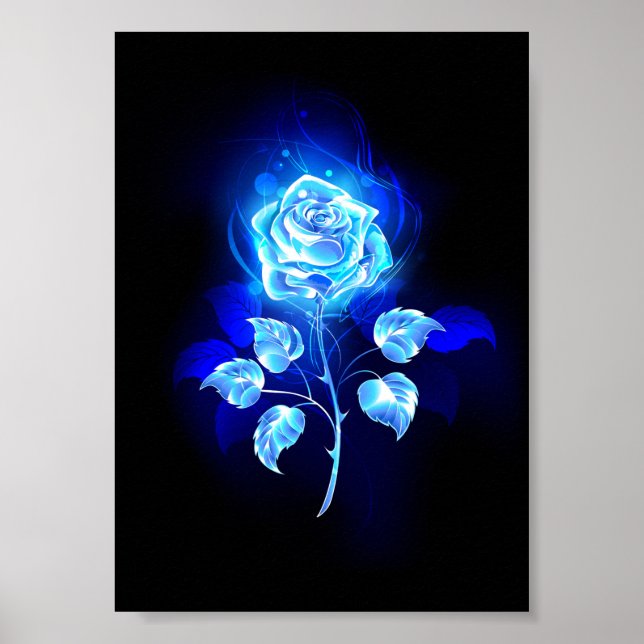 Poster Rose bleu brûlant (Devant)