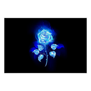 Poster Rose bleu brûlant