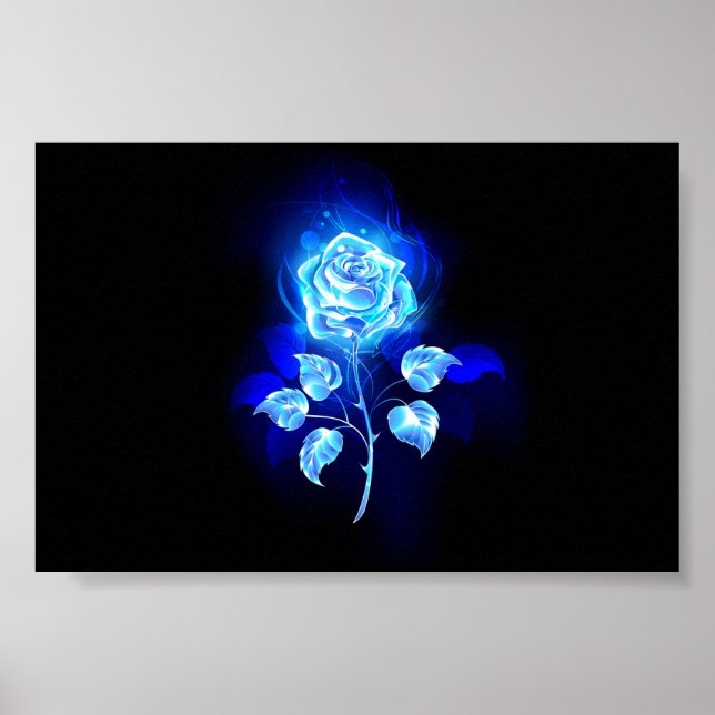 Poster Rose bleu brûlant (Devant)