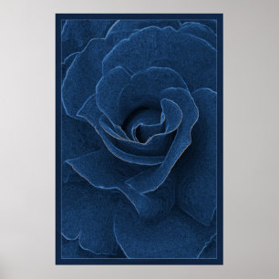 Poster Rose bleu velours