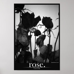 Poster rose [bordure]