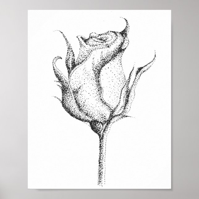 POSTER ROSE BUD (Devant)