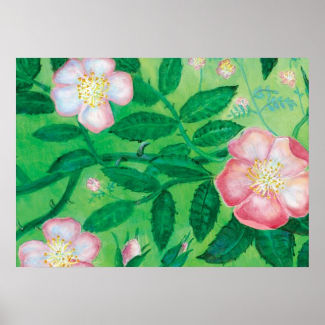 Poster Rose de chien (Rosa Canina) (Devant)