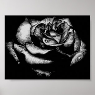 Poster Rose de noir