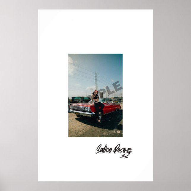 Poster Rose de salice x Impala (Devant)