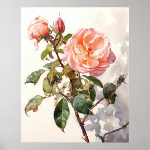 Poster Rose d'Escalades paisible dans l'aquarelle Bloom