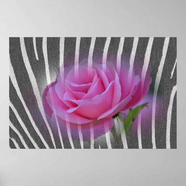 Poster Rose d'impression Zebra (Devant)