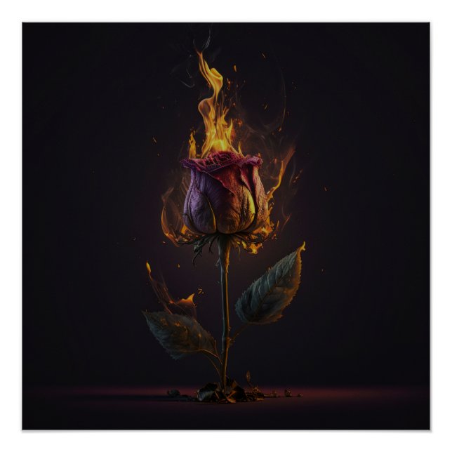 Poster rose en feu (Devant)