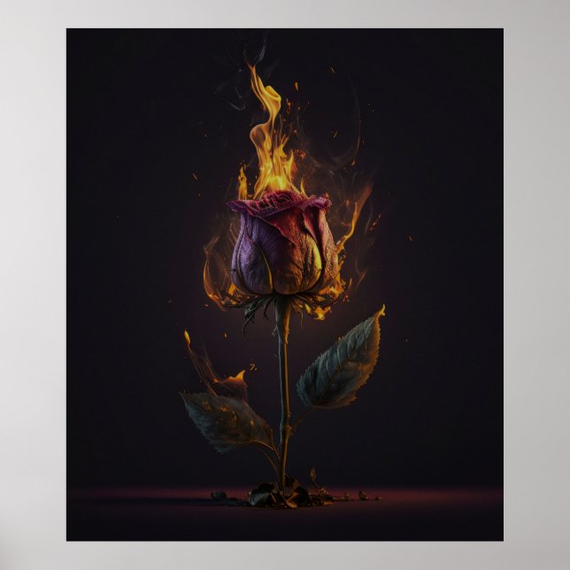 Poster rose en feu (Devant)
