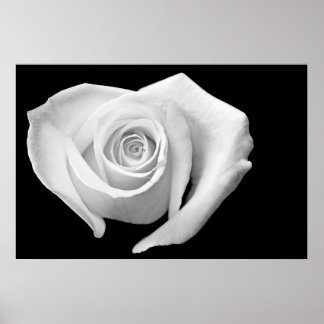 Poster Rose en forme de coeur, noir et blanc