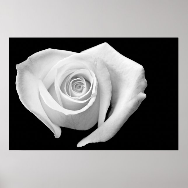 Poster Rose en forme de coeur, noir et blanc (Devant)