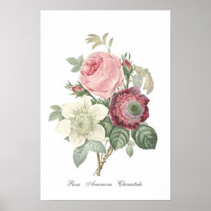 Poster rose et Anémonique