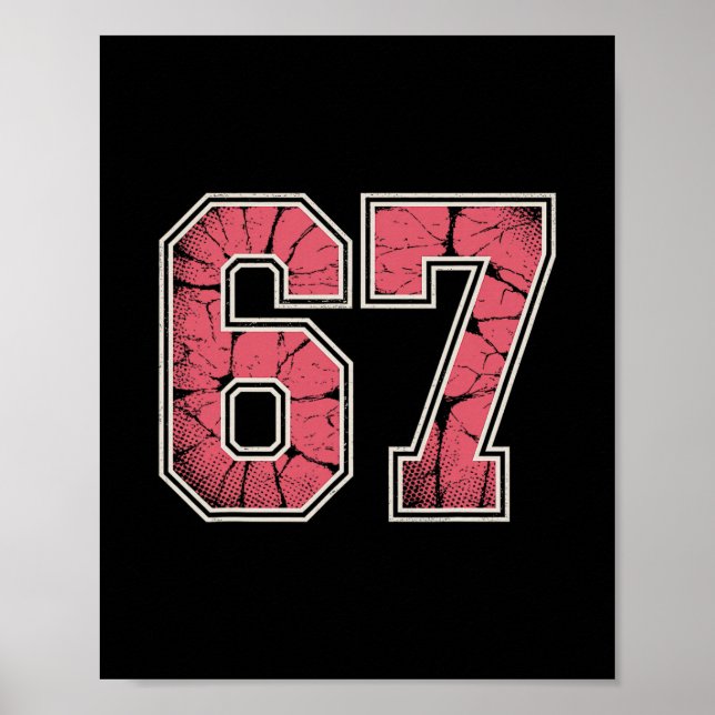 Poster Rose Et Blanc 67  (Devant)