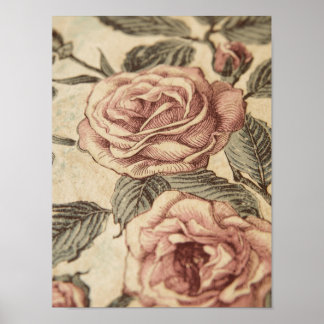 Poster Rose Garden Sketch