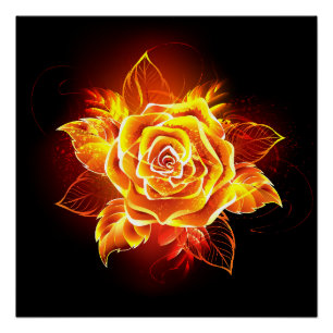 Poster Rose incendie en floraison