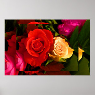 Poster Rose jaune rouge II