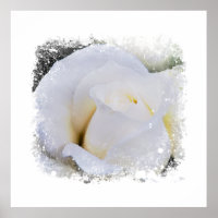 *~* Rose Macro Blanche Florale Artistique Impressi