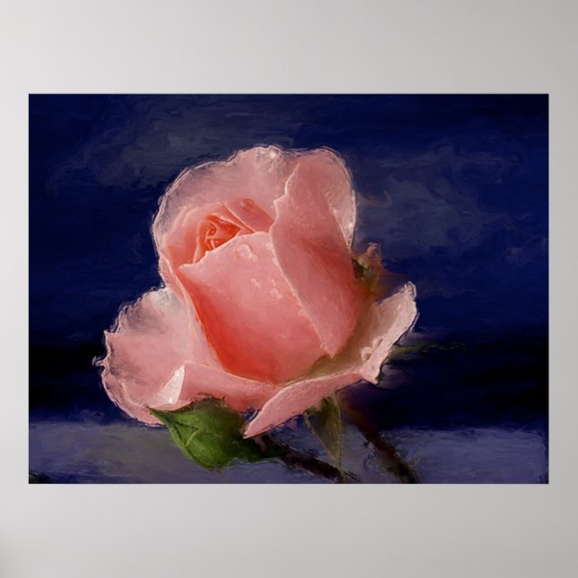 Poster Rose minuit (Devant)