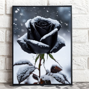 Poster Rose noir en neige - Moody Winter Floral Art Impri
