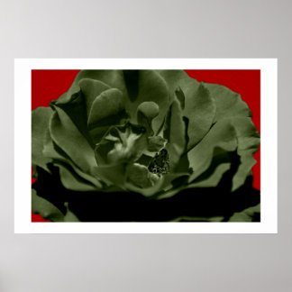Poster Rose olive avec Arrière - plan texturé Anegelhair 
