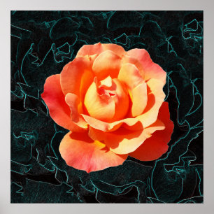 Poster Rose orange clair