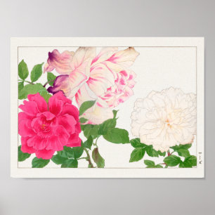 Poster Rose par Tanigami Konan