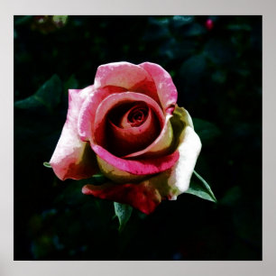 Poster Rose peint à l'huile