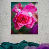 Rose rose aux flocons de neige