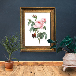 Poster Rose rose et papillon