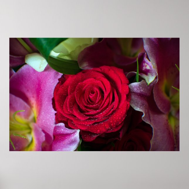 POSTER ROSE ROUGE (Devant)