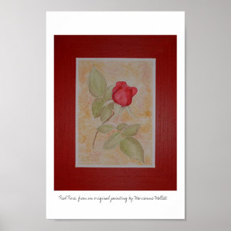 Poster Rose rouge
