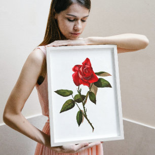 Poster Rose rouge à tige simple artistique