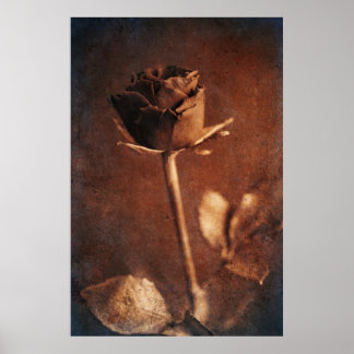 Poster Rose Steampunk