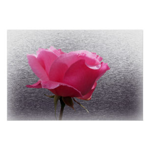 Poster rose sur gris