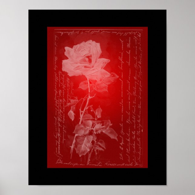 Poster Rose sur l'affiche rouge (Devant)