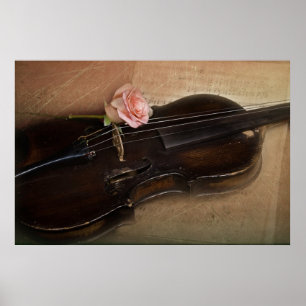 Poster Rose sur Violon