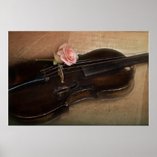 Poster Rose sur violon