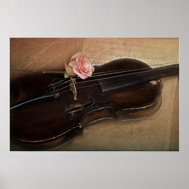 Poster Rose sur violon (Devant)