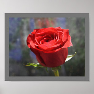 Poster Rose Valentine Imprimer
