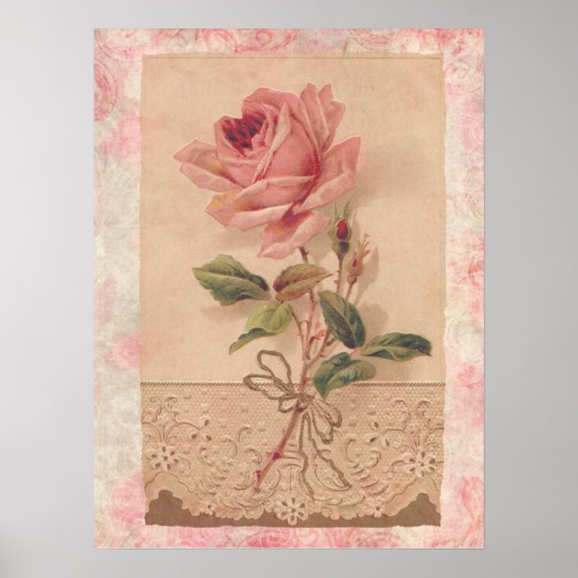 Poster Rose Victorian (Devant)