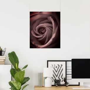 Poster Rose vintage