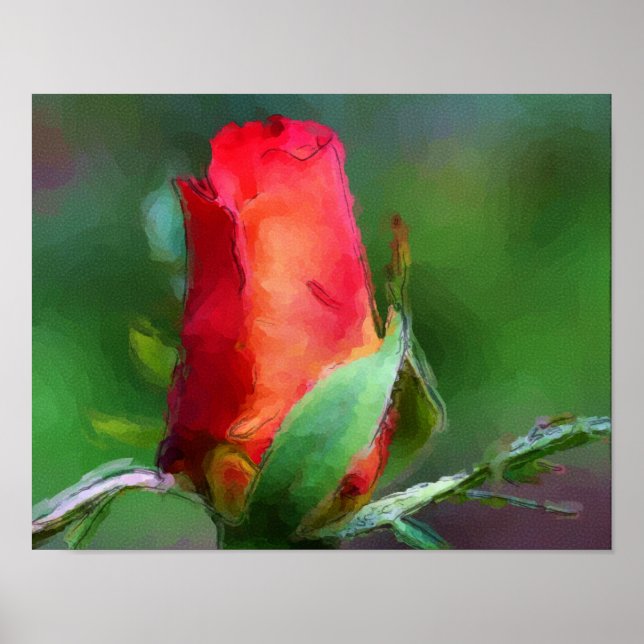 Poster Rosebud rouge aquarelle couleur de la fleur Peintu (Devant)