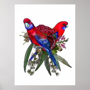 Poster Rosella cramoisie australienne et bouquet de fleur