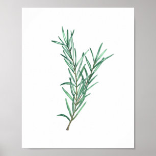 Poster Rosemary